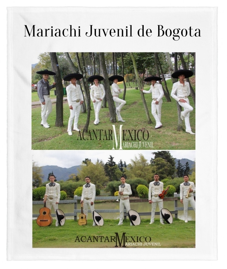 Mariachi Juvenil de Bogota